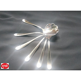 Mua Bộ 6 chiếc thìa trà/cafe VTK PREMIUM Inox 304 bền đẹp  sang trọng