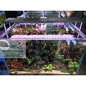 ĐÈN LED RGB NALA 60CM