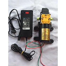 Mua Bơm tăng áp mini Giá Rẻ. bơm đơn Zukui kèm adapter 12v-5a. sử dụng cho bộ phun sương làm mát. tưới lan. xịt rửa xe...