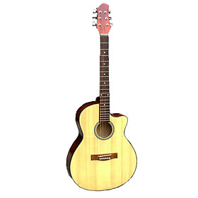 Đàn guitar acoustic GV650A1