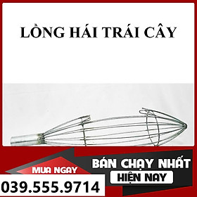 Mua LỒNG RỌ HÁI TRÁI CÂY TRÊN CAO ( SẮT TRÒN ) - GIÁ RẺ