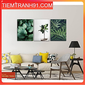 Tranh canvas cao cấp - Bộ 3 bức canvas tổng hợp 20