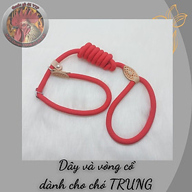 Dây xích và vòng cổ dành cho chó trung và lớn 1 dây dài 1 mét 2