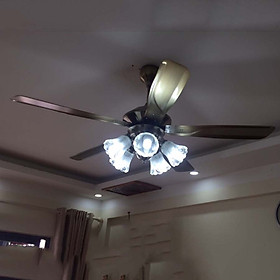 Mua Quạt trần đèn 5 cánh 1008
