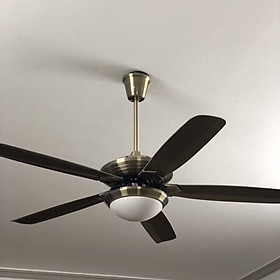 Mua quạt trần đèn led