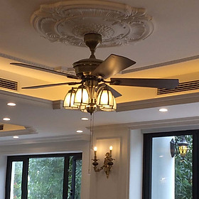 Mua Quạt trần 5 cánh chao đồng 2495