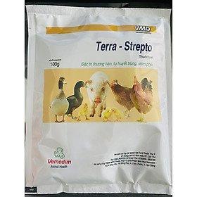 TERRA STREPTO 100g - HỖ TRỢ THƯƠNG HÀN, TỤ HUYẾT TRÙNG, VIÊM PHỔI.