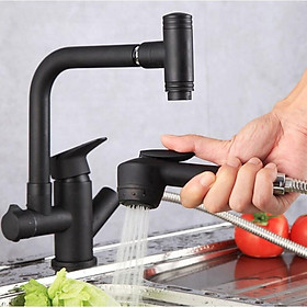 Mua Vòi rửa chén linh hoạt (Black EuroHome) - RETRO Basin mixer - Home and Garden