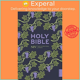 Sách - NIV Holy Bible (Hodder Classics) by New International Version (UK edition, paperback)