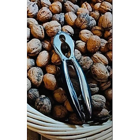 Mua Kìm kẹp càng cua  tôm  hạt óc chó.... của hãng SILIT Hàng chính hãng