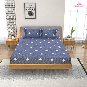 Bộ ga chun chần cotton sông hồng 200 cm x 220 cm