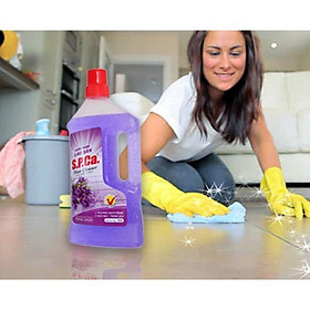 Mua Nước lau sàn S.P.Ca 1lít