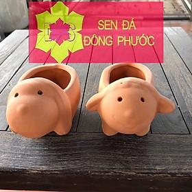 Mua Chậu đất nung hình Cún con 8x8cm - chậu trồng tiểu cảnh sen đá  xương rồng  cây phong thuỷ văn phòng đẹp
