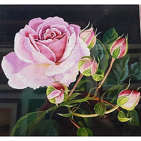 Mua Nụ hồng - pq373 - 54x57cm