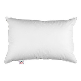 Mua Ruột gối | JYSK Fossflakes Nordic Dream | polyester | R50xD70cm | 700gr
