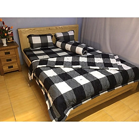 Bộ Drap kèm mền Thun Hàn Quốc ( 5 món } đủ size
