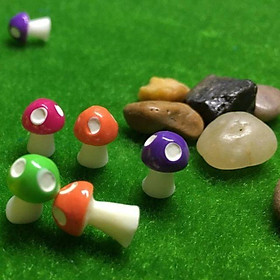 Mua 10 cây Nấm trang trí tiểu cảnh cây xanh  non bộ loại tốt