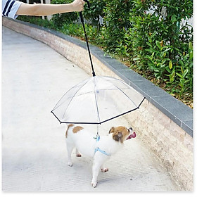 Dù che mưa che nắng cho BOSS Pet Umbrella Gia Dụng SG
