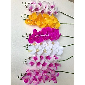 Mua Hoa giả - Lan hồ điệp cao su 9 bông
