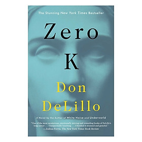 Zero K: A Novel