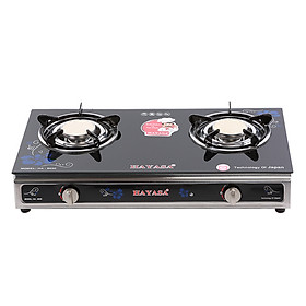 Bếp gas đôi Hayasa HA-8030