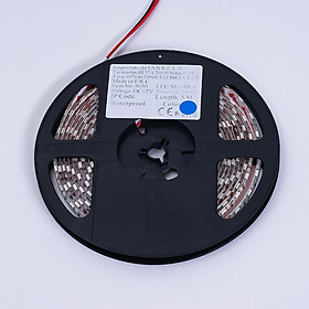 Led dây 5050 trong nhà | Silamp