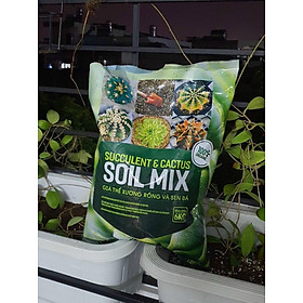 Soil Mix - Giá thể - đất trồng sen đá xương rồng cao cấp, siêu rẻ túi 6kg