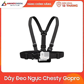 Mua Dây Đeo Ngực Chesty Gopro