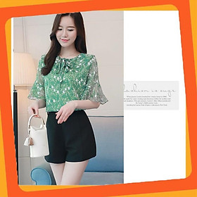 Áo kiểu nữ đẹp, sơ mi ngôi sao