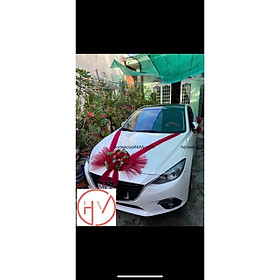 Mua HOA XE CƯỚI(CÓC HOA NÓC)