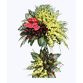 Mua Khởi Đầu Thành Công – 222