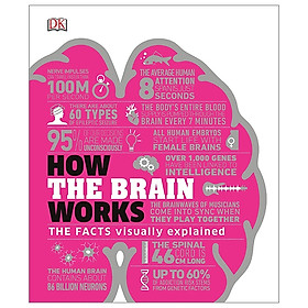 How The Brain Works: The Facts Visually Explained (How It Works) - Nhà sách Fahasa