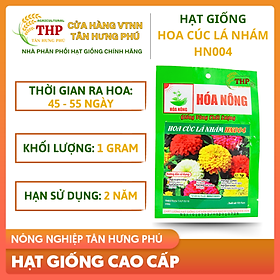 Hạt giống Hoa Cúc Lá Nhám HN004 | Hạt giống | gói 1gr