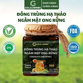 Hàng chính hãng - Đông trùng hạ thảo ngâm mật ong rừng GoldzHerbs, 100% mật ong nguyên chất – Hũ 300g/ Hộp 15 gói