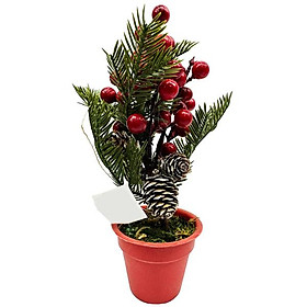 Mua Chậu Cây Mini Trang Trí Giáng Sinh - WanLongDa XY18F-230