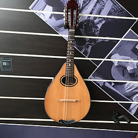 Đàn Mandolin chất lượng tốt