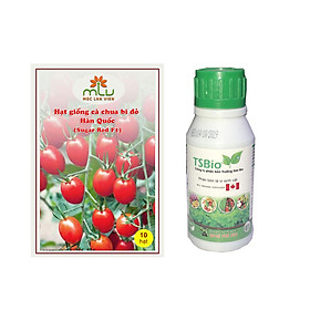 Combo Hạt giống cà chua bi đỏ Hàn Quốc – Sugar Red F1( gói 10 hạt) + Chai Phân bón Trường Sơn Bio Chai 100ml