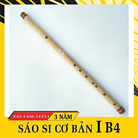 Mua Sáo trúc HL20 tone si B4 chuẩn âm chất lượng