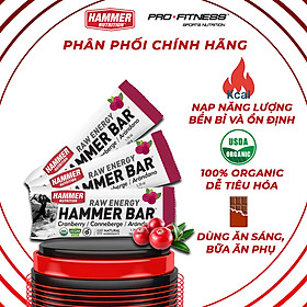 Thanh Năng Lượng Raw Energy Bar - Bổ sung năng lượng và dinh dưỡng khi luyện tập, thi đấu (thanh 50g)