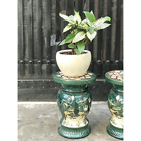 Mua ĐÔN HOA SEN GỐM SỨ NAM BỘ