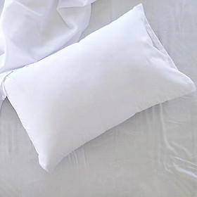 Mua Combo 2 ruột gối nằm ép hơi 35x55 (2 gối)