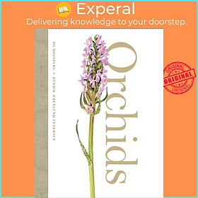 Sách - Orchids by Henrik Aerenlund Pedersen (UK edition, hardcover)