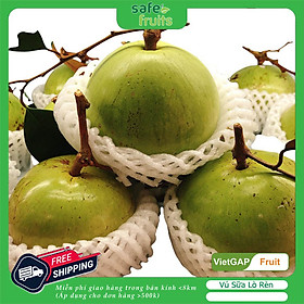[ Chỉ Giao Hà Nội ] Vú Sữa Lò Rèn Vĩnh Kim VietGAP (1kg)