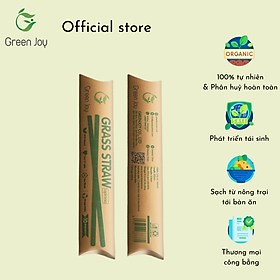 Ống hút cỏ bàng khô Green Joy - Combo 2 hộp 10 ống