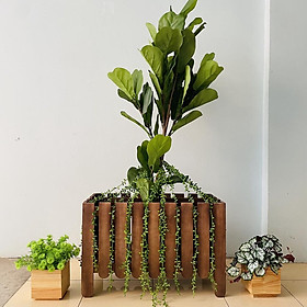 Chậu gỗ trồng cây hình chữ nhật 60cm thiết kế nan sọc, chậu hoa cây cảnh ban công, decor nội thất độc đáo CG-01