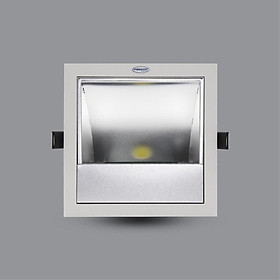 ĐÈN LED DOWNLIGHT CHIẾU TRANH 20W ÂM TRẦN PRDXX176L20