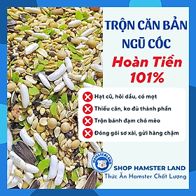 Thức Ăn Trộn Hamster Căn Bản 500g