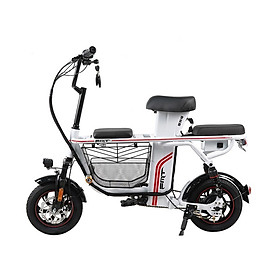 XE ĐẠP ĐIỆN 3 CHỖ NGỒI FMT TDW8802Z