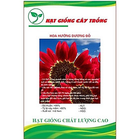 Hạt giống hoa hướng dương đỏ CT179 - Gói 30 hạt