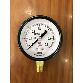 Dụng cụ đo áp suất P110-60A - dãy đo Mpa / Kgf/cm2